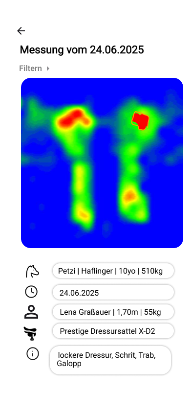 Auswertung der Druckverteilung fuer Reiterinnen und Reiter