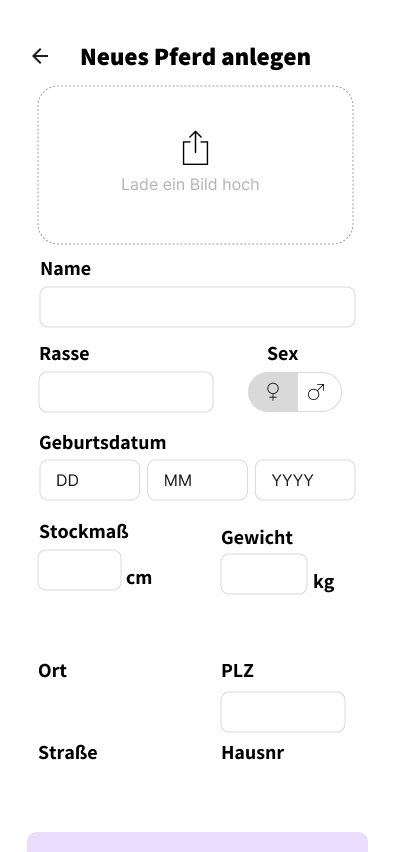 Zweiter Schritt mit weiteren Angaben zum Pferd