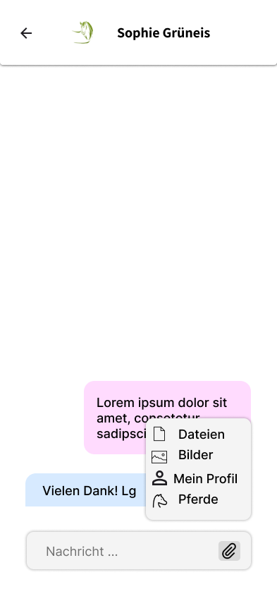 Anhaengen von Dateien und Messungen im Chat